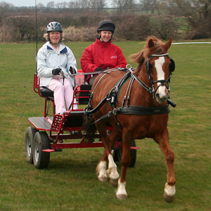 2011 march try driving 04